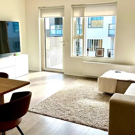 Modern Luxury Downtown
